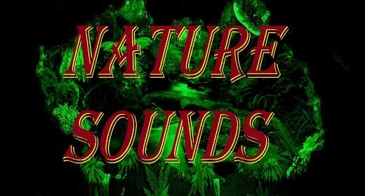Nature Sounds